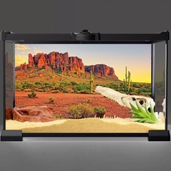 AWERT 48×24 inches Reptile Habitat Background Sky Oasis Mountain Cactus Sun a…