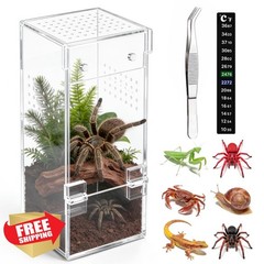 Vodolo Acrylic Spider Enclosure Habitat