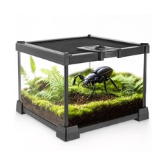 Mini Reptile Glass Terrarium Vivarium 8” x 8” x 6” Full View Tan… Fast Ship