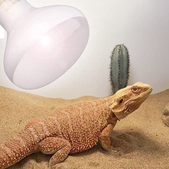 Aiicioo Reptile Basking Light Bulb – 100W Reptile Heat Lamp 2 Pack UVA Daylight