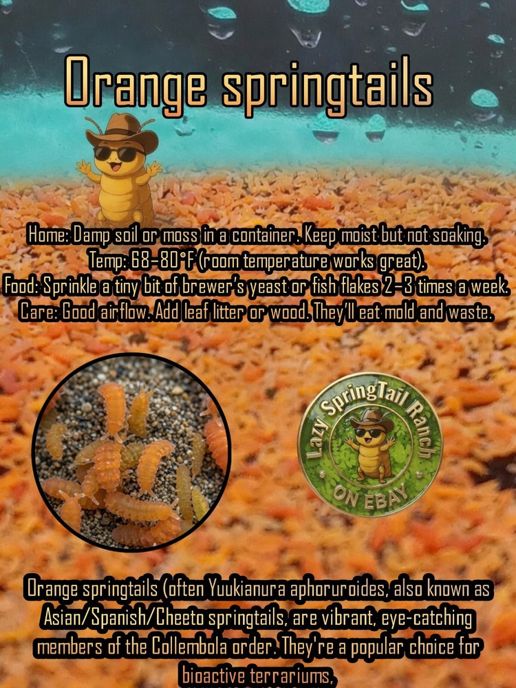 200-240 (Orange Springtails) L.A.G