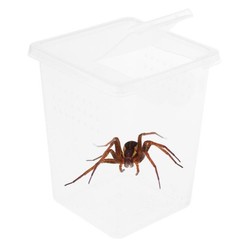 Habitat Feeding Box Cage Case Container Tank 8x8x11cm 1x Tall Large