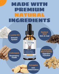 SANTKOL L-Lysine Supplement for Cats – Immune Support – 60ML Lysine 60 ML