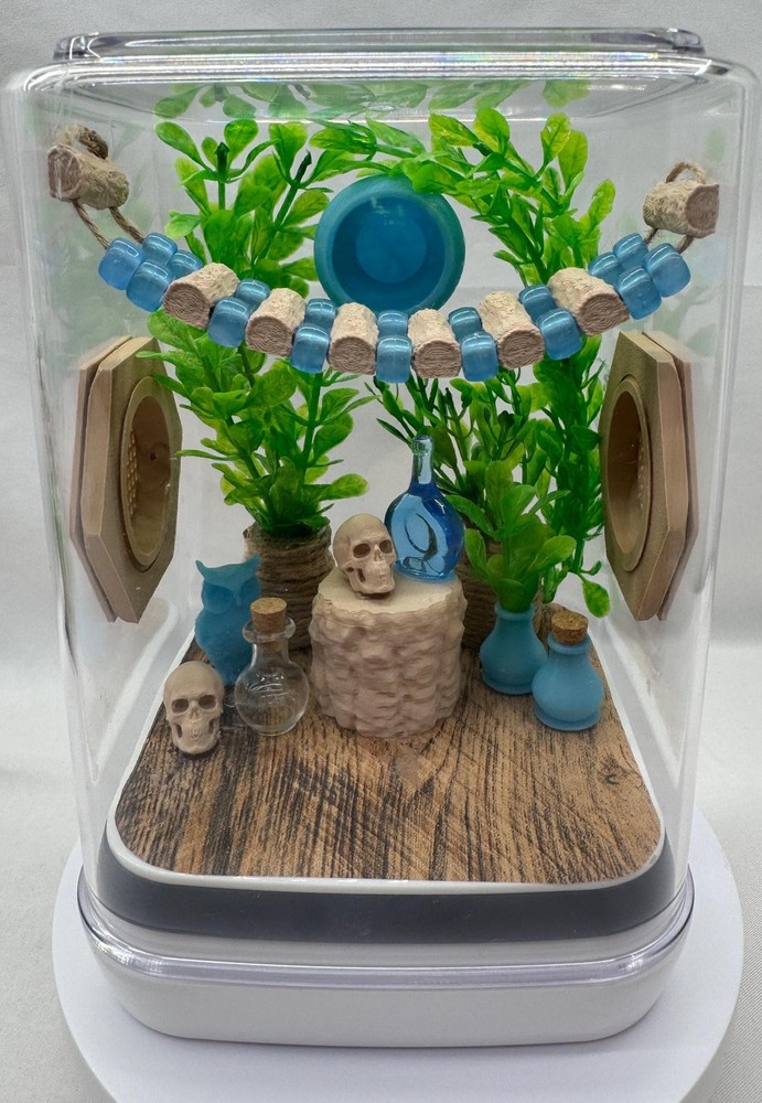 Blue Glow Spider Enclosure – Stylish Pet House for Jumping Spiders