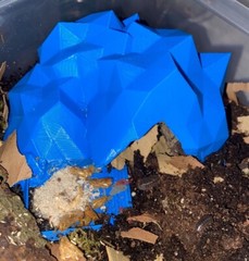 Reptile – Isopod – Invert. – Luxury Cave & Feeder Combo! COLOR – *Black*