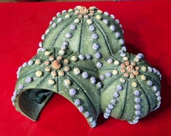 Resin Cactus Cave – Reptile habitate – Used