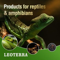 Reptile Heat Lamp 100W Day Night Combo Pack Turtle Lizard Snake Bulb