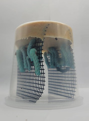 Live Hornworm Cup (25-35 Count) | UPS Shipping | for Bearded Dragons and Reptile