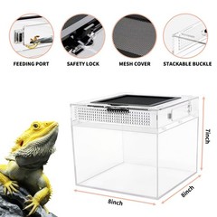 mini Reptile Terrarium,8″ x 8″x 8″ Reptile Tank with Full View Visually Appea…