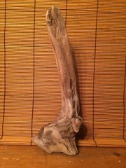 Beautiful 12″ DRIFTWOOD Piece Art Terrarium Taxidermy Aquarium Reptile DECOR