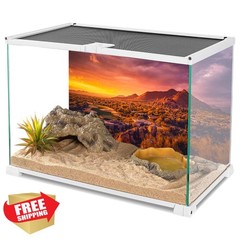 AWERT Reptile Terrarium Background 72x18in Mountain Oasis Gobi Desert