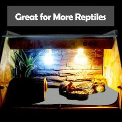 47 x 24 Large Reptile Carpet Terrarium Liner Bedding Reptile Substrate Mat