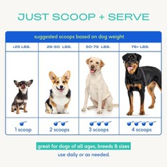 Colostrum for Dogs Bovine Colostrum Powder Dog Allergy Relief, Itchy Skin R…