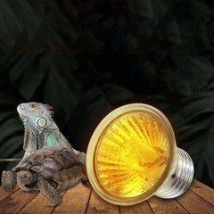 25W 50W 75W UVA Pet Heat Lamp Sun Reptile Turtle Snake Lizard Heater light Bulb