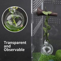 Jumping Spider Hide Habitat Accessories Easy Installation Jumping Spider