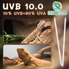 2-Pack 22″ T5 UVB Reptile Light 24W 10.0,UVA UVB for Reptiles