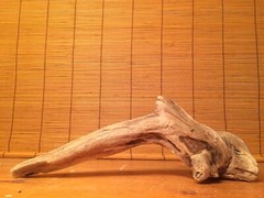 Beautiful 12″ DRIFTWOOD Piece Art Terrarium Taxidermy Aquarium Reptile DECOR