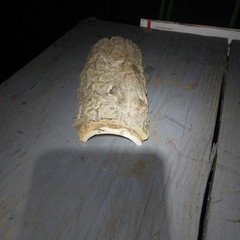 Natural Log Reptile Hide Cave House 7″-8″ Long 3″-4″ Wide 3″ Tall