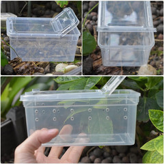 10 Pcs Reptile Feeding Boxs, Plastic Spider Terrariums Breeding Box Feeder