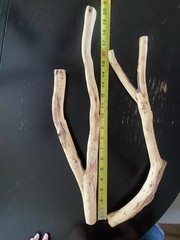 Manzanita Wood, Driftwood, Reptile Tank Decor, Fishtank aquascape Or Terrarium