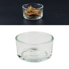 4Pcs Pet Reptile Feeder Glass Bowls Durable Transparent Food Water Cup
