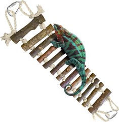 SunGrow Gecko Wooden Ladder Bridge, 14 x 3 inches, Exercise Gym, Brown