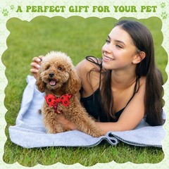 Dog Bow Ties for Small Dog Assorted Pattern Pet Bowtie Collar Grooming Accessory