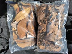 Magnolia leaves ( hand collected, soaked, washed and air dried )