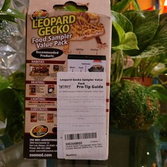 Zoo Med Leopard Gecko Food Sampler Value Pack Crickets Worms Calcium Lizard Meal