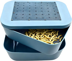 Mealworm Breeding Kit, Live Feeder Worm Farm for Reptiles, Bearded Dragons, Leop