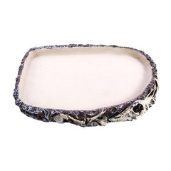 Reptile Food Dish Bowl Amphibian Feeding Bowl Pet Aquarium Ornament Terrarium