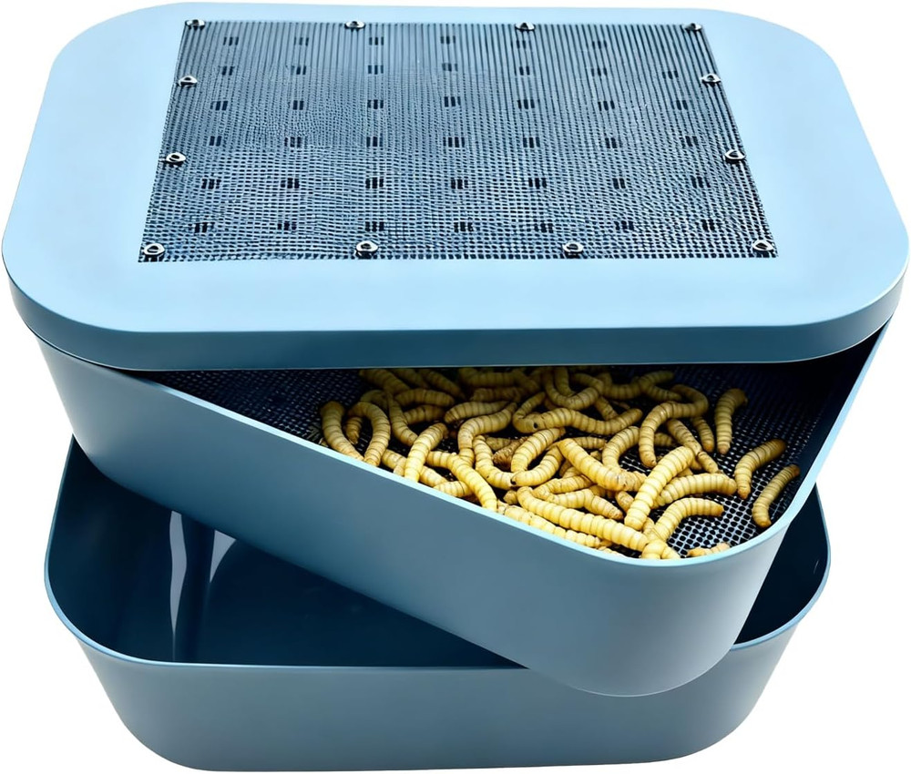 Mealworm Breeding Kit, Live Feeder Worm Farm for Reptiles, Bearded Dragons, Leop