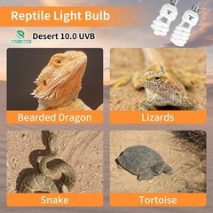 UVA UVB Reptile Light 23W 10.0,Desert Terrarium Compact Fluorescent Lamp,UVB …