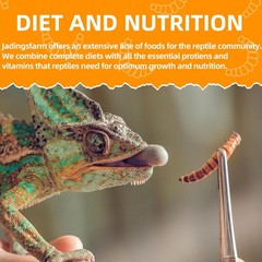 JADINGSFARM 6 Pack Canned Mealworms for Reptiles, Fish, 7.2 Ounce (Pack of 1)