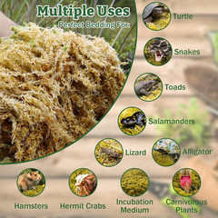 Riare 5.3OZ Premium Sphagnum Moss for Reptiles- 6QT Natural Reptile Moss Dried,