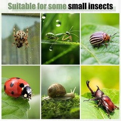 Pre-Assembled Jumping Spider Enclosure 3X3X6 Inch Acrylic Spider Cage Insect Ter
