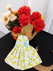 Bearded dragon Yellow Floral Dress MADE IN USA, L, M, S