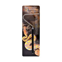 Ball Python Snake Habitat 10 Gallon Terrarium Baby Snake Starter Kit XYZReptiles