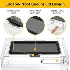 Reptile Tank 7 Piece Starter Kit with Escape Proof Locking Lid Small | All in On