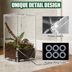 Transparent Acrylic Jumping Spider Enclosure Reptile Terrarium Tank Large