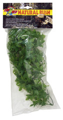 Set Of 3 – Zoo Med Natural Bush Plant Congo Ivy – Small 14 Inch