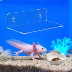 2-in-1 Axolotl Tank Accessories Set, Transparent Acrylic Shelf with Suction C…