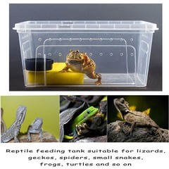 Hamiledyi 2PCS Reptile Feeding Box Snake 12.6 x 8.6 x 5.9 inches, White