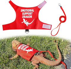 Romansk Bearded Dragon Harness and Leash Set – Escape Proof Adjustable Lizard…