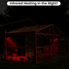 Heat Lamp for Chickens Coop Brooder and Reptile Heat Bulb 150 Watt Infrared R…