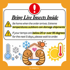 TC INSECTS Live Superworms Feeder Insects for Reptiles Amphibians Birds & More