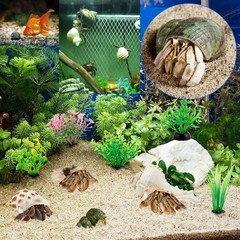 15 Pcs Hermit Crab Shells Natural Seashells for Home Decor Fishtank Aquarium