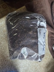 1 lbs FLAKE SOIL, For Breeding Beetles Millipedes And More~