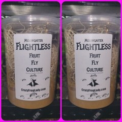 Fruit Fly Culture 8Pack Variety Live Flightless Turkish Gliders Golden and Hydei