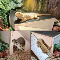 Bearded Dragon Hide Cave W/ Basking Platform,Wooden Lizard Hideout